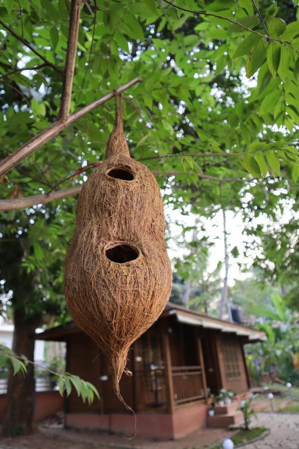 Greenchromide Homestays Mundrothuruth Exterior photo